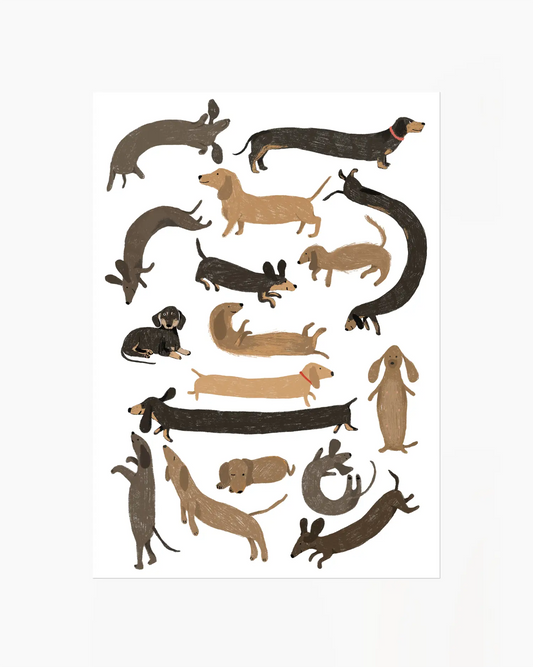 Illustrations of various dachshunds in different poses on a white background